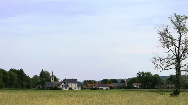 Artisan Monte Escalier Pose monte escalier Allier