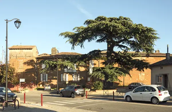 Artisan Monte Escalier Pose monte escalier Aussonne
