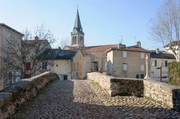 Artisan Monte Escalier Pose monte escalier Brignais