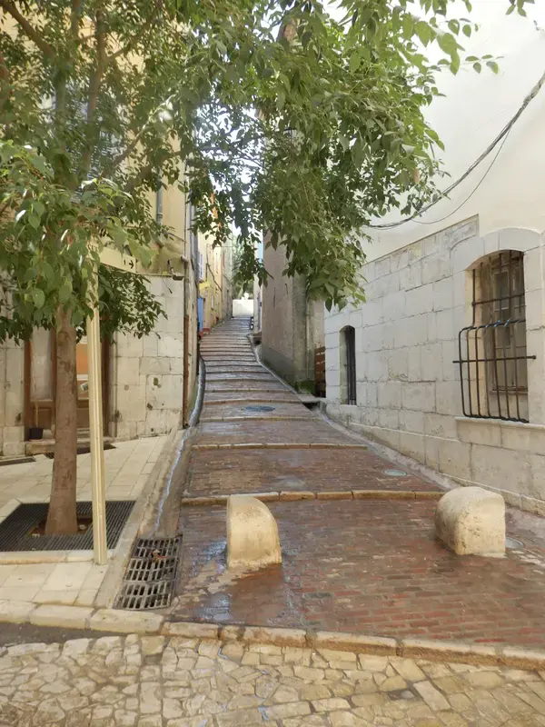 Artisan Monte Escalier Pose monte escalier Brignoles