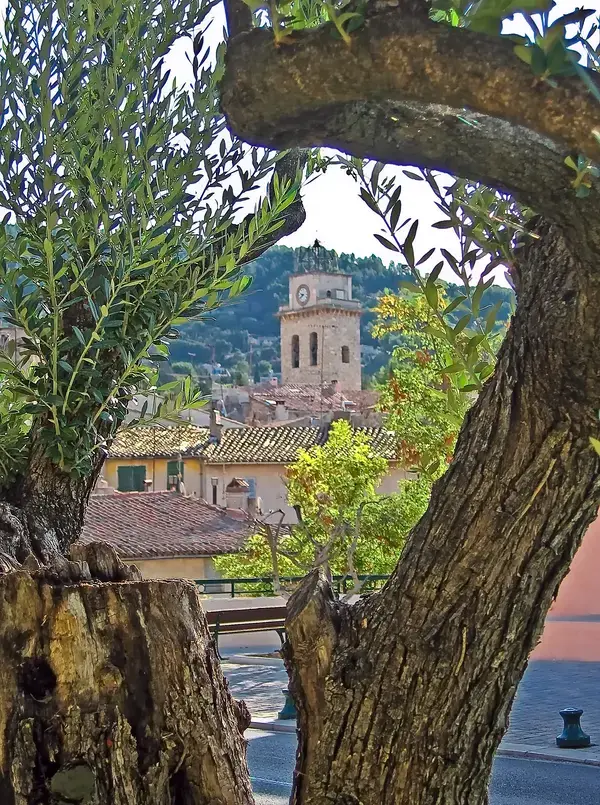Artisan Monte Escalier Pose monte escalier Ceyreste