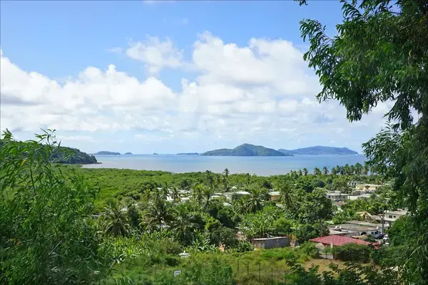 Artisan Monte Escalier Pose monte escalier Dembeni
