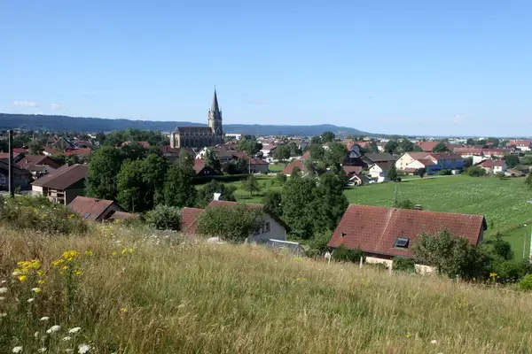 Artisan Monte Escalier Pose monte escalier Doubs