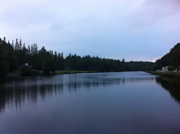 Artisan Monte Escalier Pose monte escalier Inzinzac-Lochrist