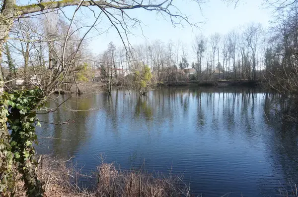 Artisan Monte Escalier Pose monte escalier La Chapelle-Saint-Luc