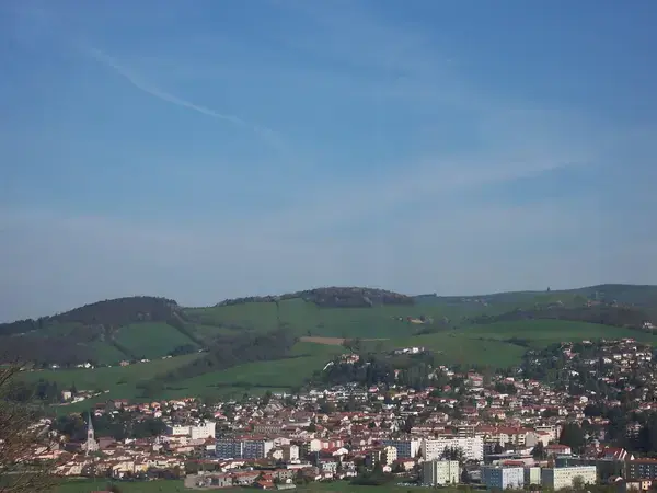Artisan Monte Escalier Pose monte escalier La Talaudière