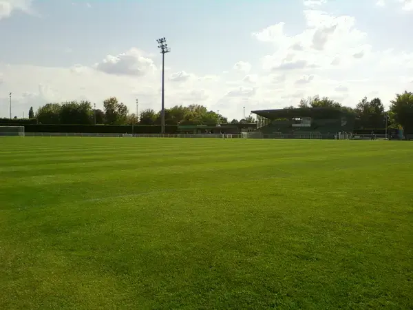 Artisan Monte Escalier Pose monte escalier Moissy-Cramayel