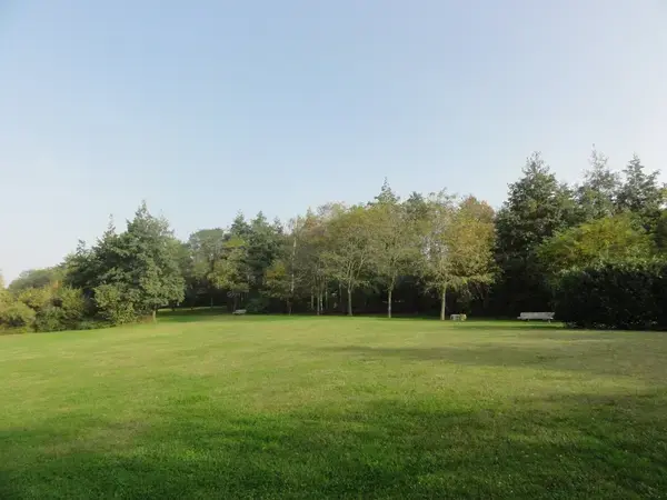 Artisan Monte Escalier Pose monte escalier Montigny-en-Gohelle