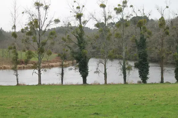 Artisan Monte Escalier Pose monte escalier Muzillac