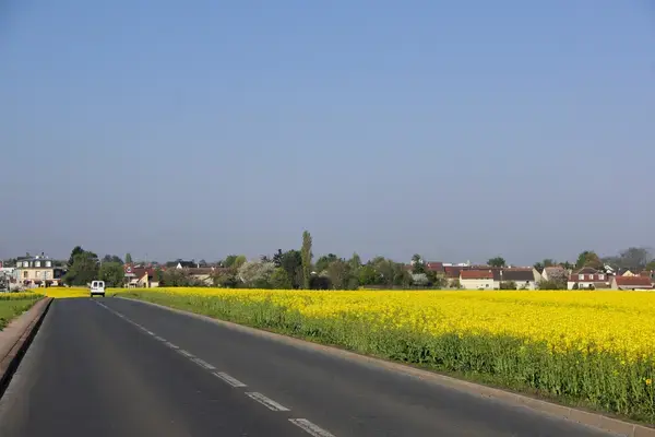 Artisan Monte Escalier Pose monte escalier Noiseau