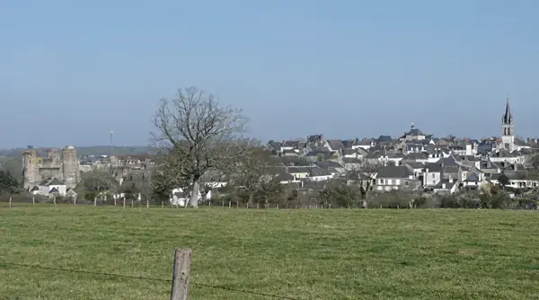 Artisan Monte Escalier Pose monte escalier Ombrée d'Anjou