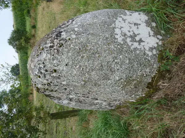 Artisan Monte Escalier Pose monte escalier Plaintel