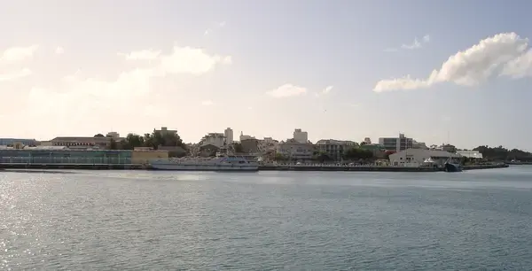 Artisan Monte Escalier Pose monte escalier Pointe-à-Pitre