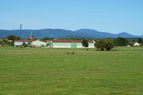 Artisan Monte Escalier Pose monte escalier Roye