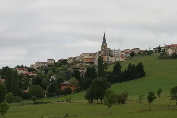 Artisan Monte Escalier Pose monte escalier Saint-Christo-en-Jarez