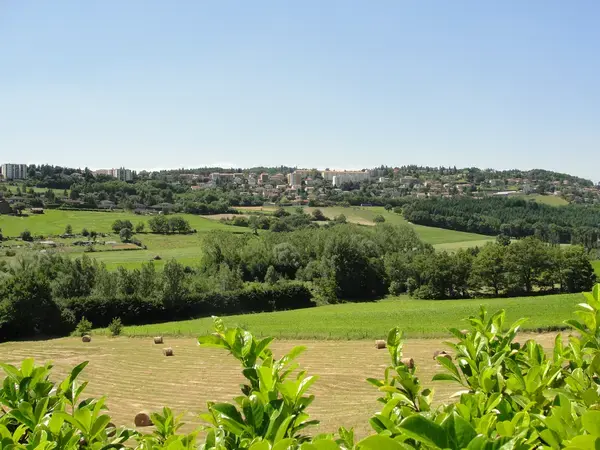 Artisan Monte Escalier Pose monte escalier Saint-Genest-Lerpt