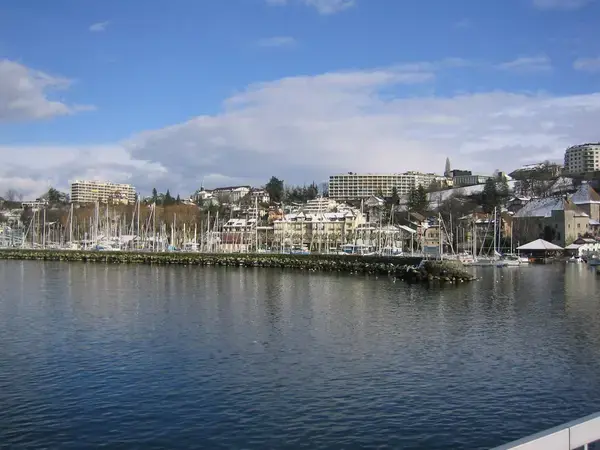 Artisan Monte Escalier Pose monte escalier Thonon-les-Bains